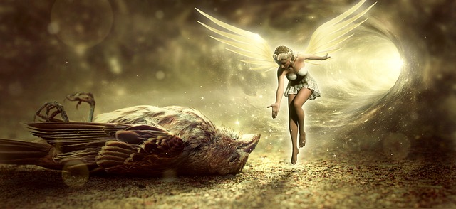 鳥の死と妖精